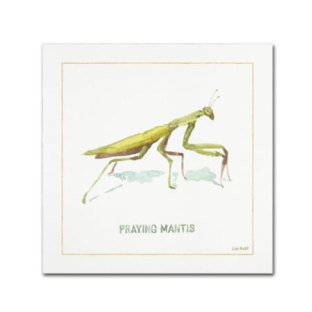 Lisa Audit 'My Greenhouse Praying Mantis' Canvas Art,14x14